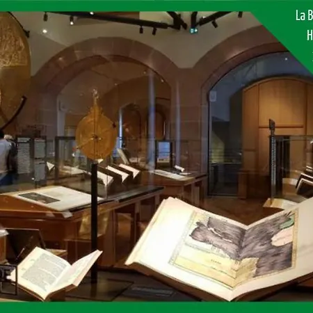 Le Studio Du Tanneur Selestadien Sélestat Esterno foto