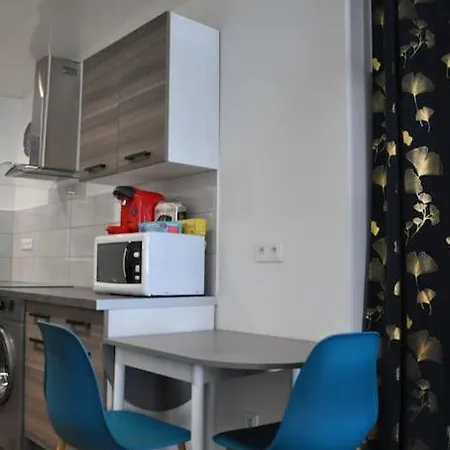 Le Studio Du Tanneur Selestadien Sélestat Esterno foto