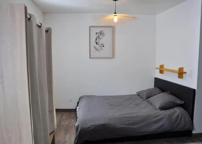 Le Studio Du Tanneur Selestadien