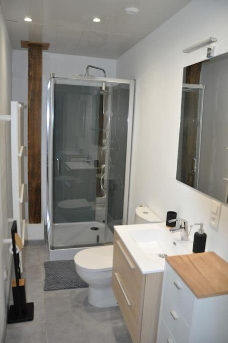 Le Du Tanneur Selestadien Apartment