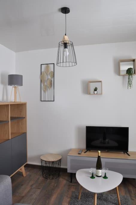 Le Du Tanneur Selestadien Apartment *